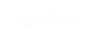 logo extinchama extintor de incendio